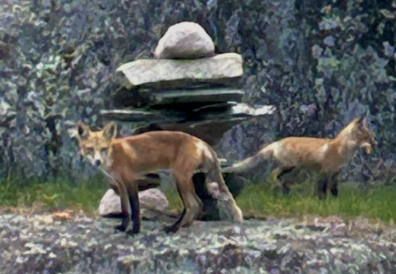 Two foxes beside a stone inukshuk on the rocks